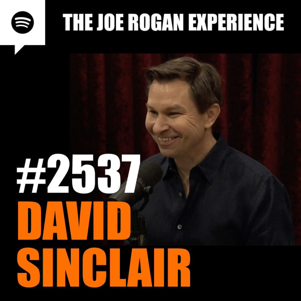 The Joe Rogan Experience