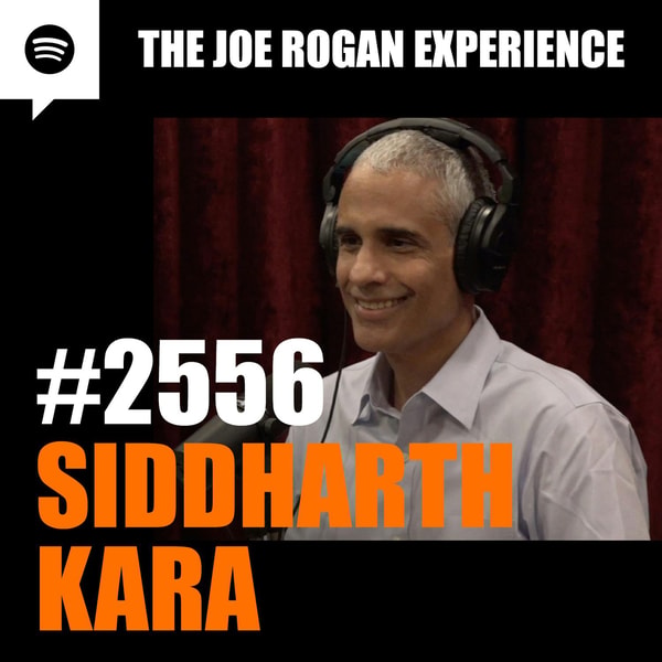 The Joe Rogan Experience