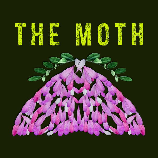 Mothers and Memories with Padma Lakshmi: The Moth Podcast