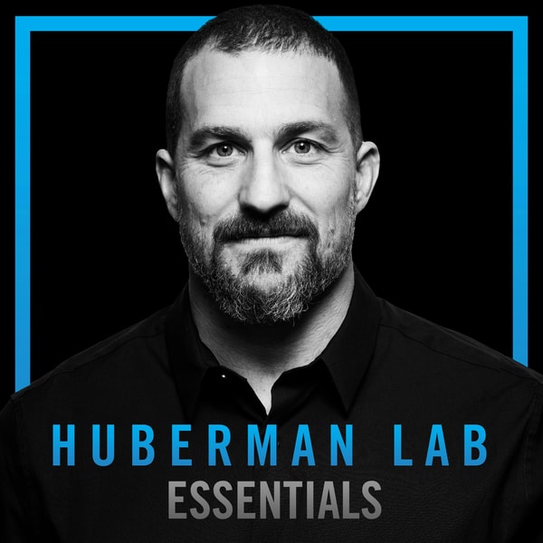 Essentials: The Science & Process of Healing from Grief