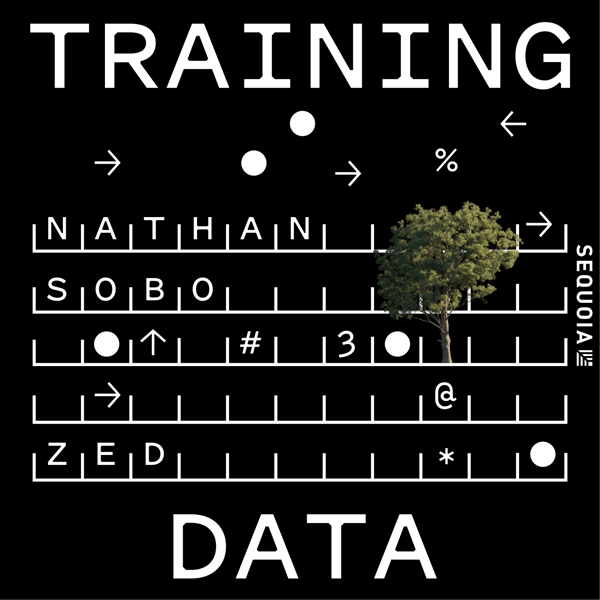 Why IDEs Won't Die in the Age of AI Coding: Zed Founder Nathan Sobo