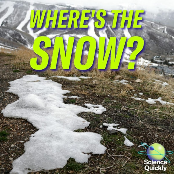 Artemis II, endangered species and oil, snowpack crisis