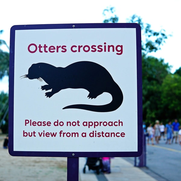 Curious stories of coexistence