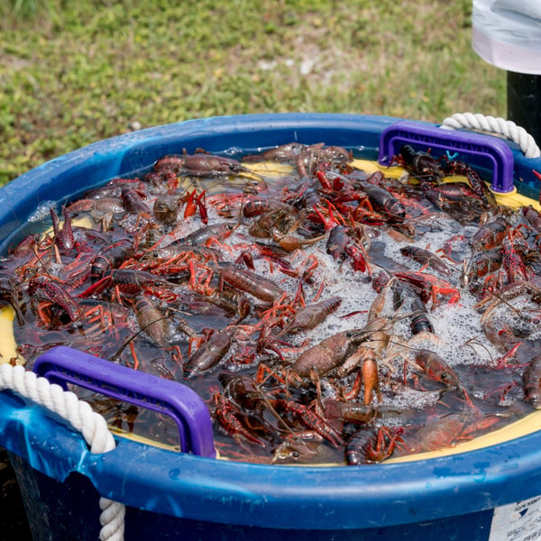 How is U.S. immigration policy hurting a key Louisiana industry?