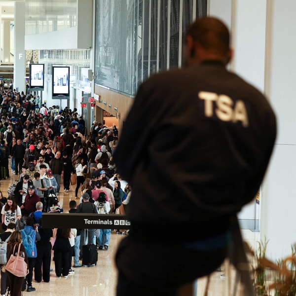 What could the role of ICE be at airports?