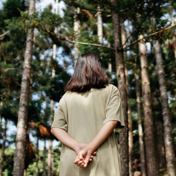 Why spending time in the woods makes you feel calm
