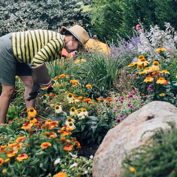 Why you should kill your lawn