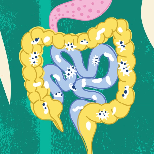 Should I take a probiotic? And other gut questions, answered