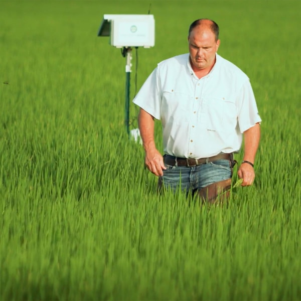 What we'll eat on a warmer planet