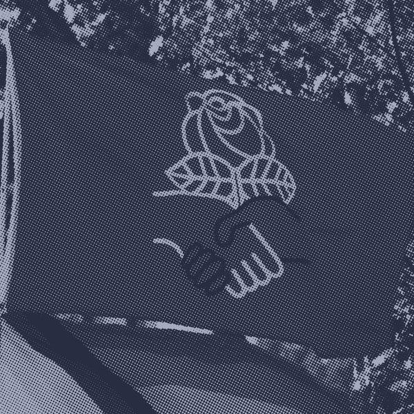What is democratic socialism?