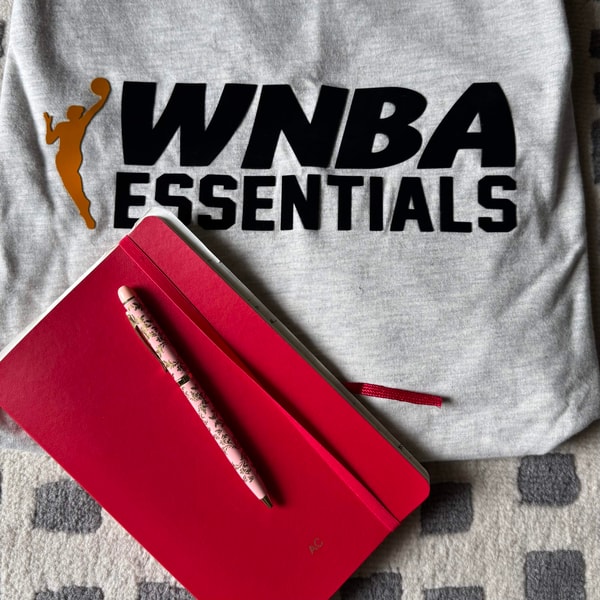 Diary of a WNBA negotiator
