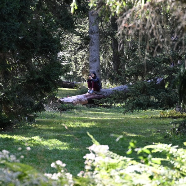 How a former politics columnist is finding awe