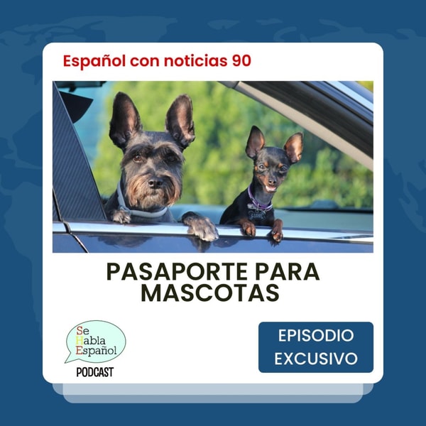 Español con noticias 90: Pasaporte para mascotas - Episodio exclusivo para mecenas