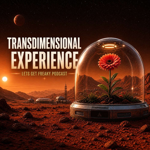 Transdimensional Experience with Karen Holton | EP: 379